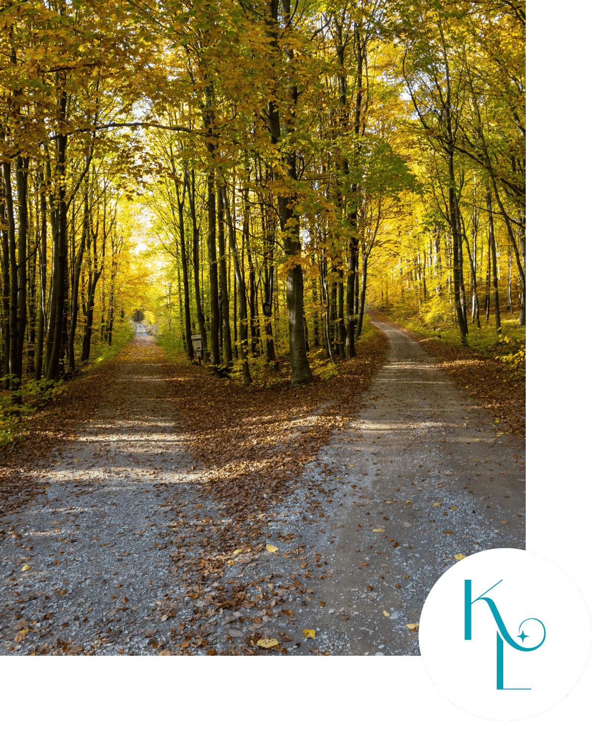 Chemin de la réussite